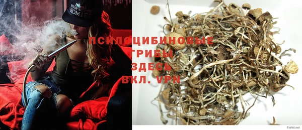 дживик Балабаново